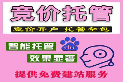 SEM广告投放案例分享：品牌增长秘诀